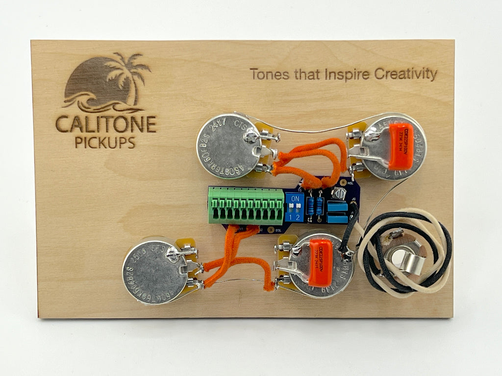 Flexible Fit Les Paul Kit Guitar Solderless Wiring Harness